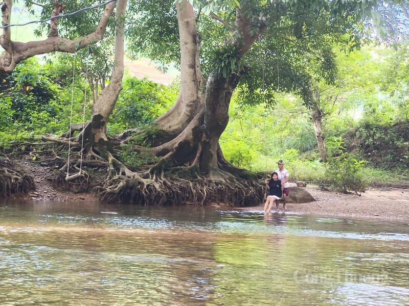 Suối Ta Pao với cảnh quan hoang sơ, dòng nước trong mát quanh năm cùng khí hậu dễ chịu trở thành điểm đến được nhiều du khách và giới trẻ tìm đến tham quan, trải nghiệm.