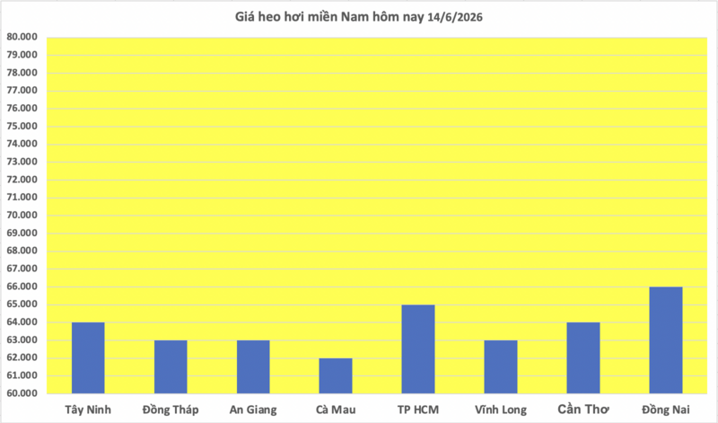Giá heo hơi hôm nay 14/6/2026: Đi ngang cuối tuần - 3
