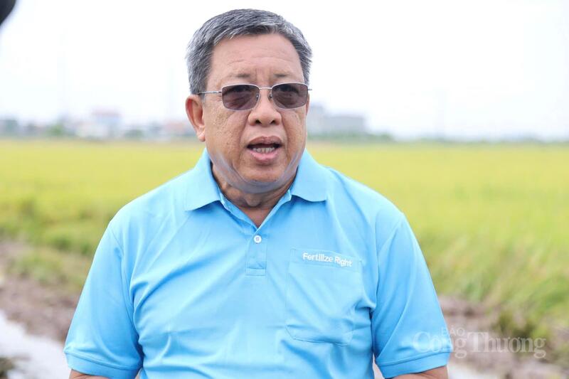 Ông Lê Thanh Tùng, Phó Chủ tịch kiêm Tổng Thư ký Hiệp hội Ngành hàng lúa gạo Việt Nam. Ảnh: N.H