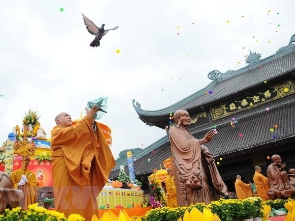 Ảnh minh họa - TTXVN