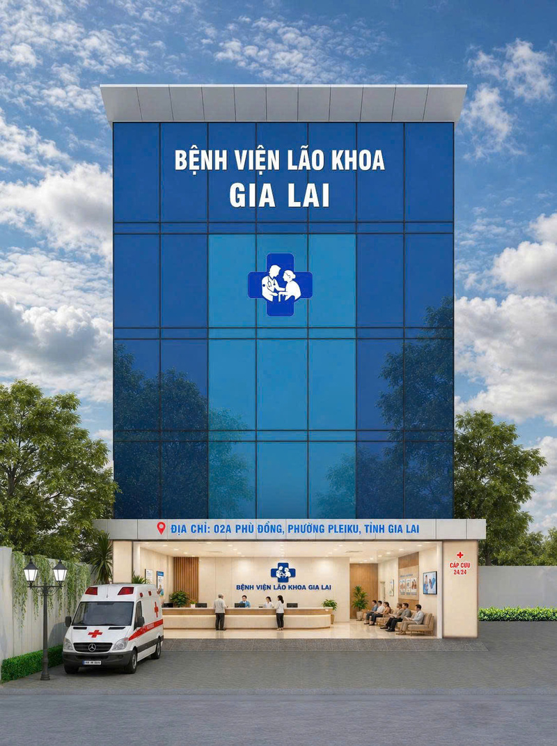 Phối cảnh dự án Bệnh viện Lão khoa và Phục hồi chức năng Gia Lai của Công ty cổ phần Xuất nhập khẩu Y tế Gia Lai.