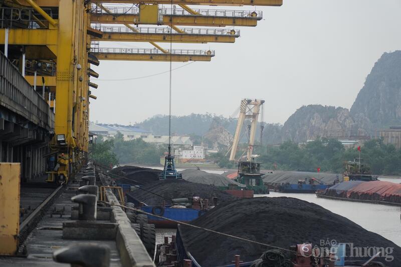 Nguồn nhiên liệu than đã được chuẩn bị đầy đủ đảm bảo cho sản xuất.