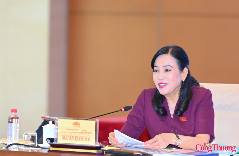 Đồng chí Nguyễn Thanh Hải cho rằng, cần thiết xây dựng cơ chế hình thành các doanh nghiệp quốc gia dẫn dắt trong lĩnh vực vật liệu và cơ khí.