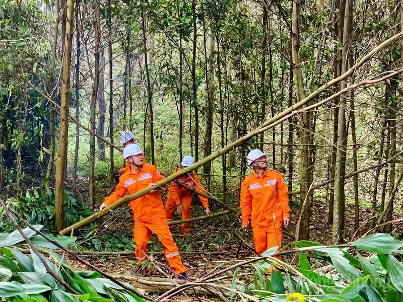 Nhân viên Điện lực Thạch Thành phát quang cây cối ở khu vực hành lang điện. Ảnh: Quốc Anh