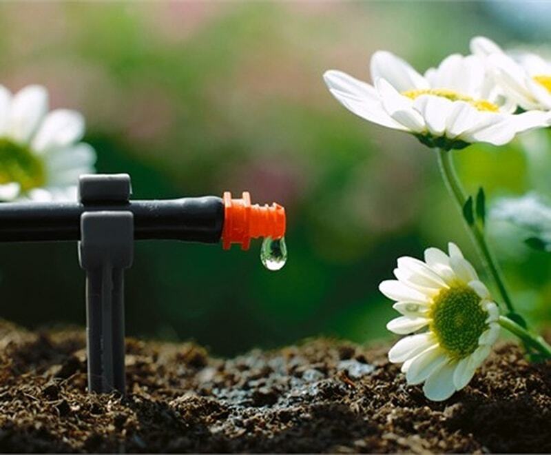 Hệ thống tưới nhỏ giọt. Ảnh minh hoạ: Dân tộc và Phát triển