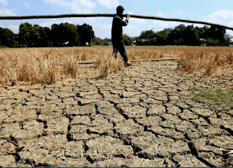 Mức độ cực đoan của El Niño có thể đang bị đánh giá cao hơn thực tế. Ảnh minh họa