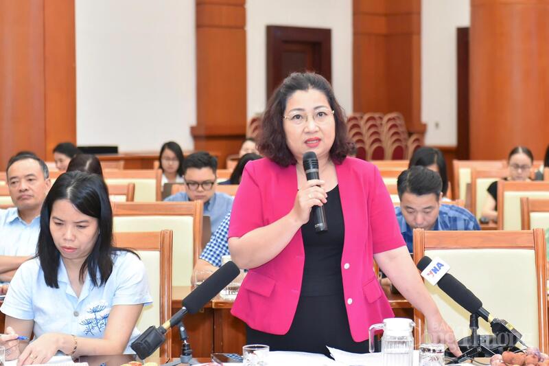 Bà Lê Thị Tường Thu, Phó Cục trưởng Cục Thống kê. Ảnh: Thanh Tuấn