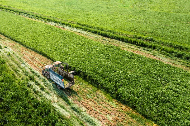 Vinamilk đang có loạt dự án đầu tư - mở rộng quy mô lớn, phủ từ trang trại, nhà máy đến hệ thống phân phối (Ảnh: VN).