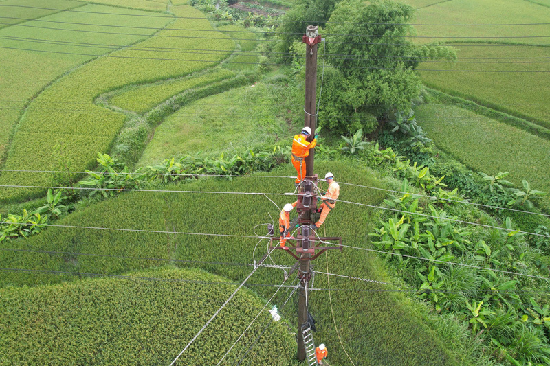 Dự báo đúng nhu cầu tăng trưởng để đầu tư hạ tầng điện đi trước một bước. Ảnh: KH