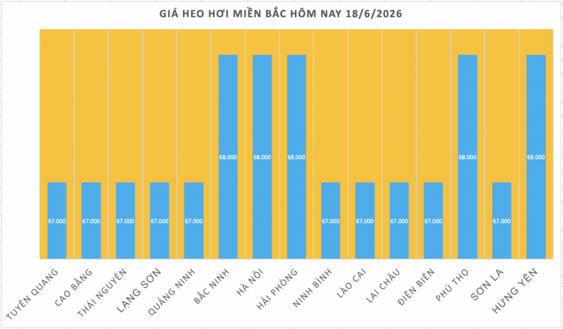 Giá heo hơi hôm nay 18/6/2026: Giảm cục bộ tại miền Trung và miền Nam - 1