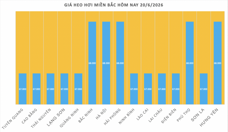 Giá heo hơi hôm nay 20/6/2026: Đi ngang, cao nhất 68.000 đồng/kg - 1
