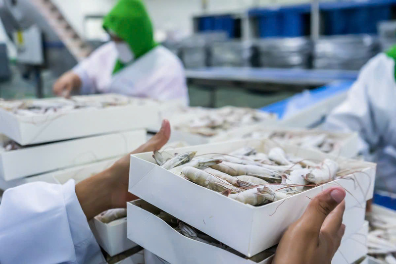 Triển lãm Quốc tế lần thứ 2 về Công nghiệp Chế biến, Đóng gói và Bảo quản Nông sản và Thực phẩm Việt Nam (Vietnam PFA 2026) sẽ diễn ra từ ngày 15 - 17/7/2026 tại TP. Hồ Chí Minh. Ảnh: BTC