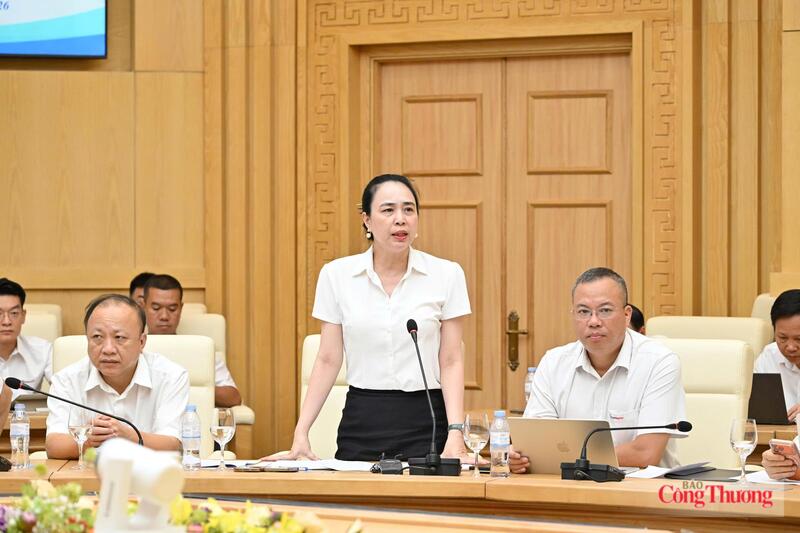 Bà Đỗ Nguyệt Ánh - Chủ tịch HĐTV Tổng công ty Điện lực miền Bắc phát biểu tại cuộc họp.