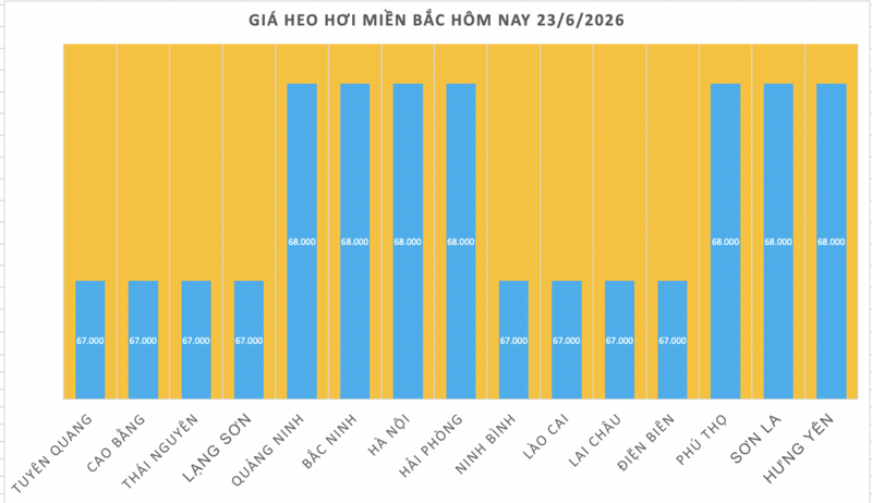 Giá heo hơi hôm nay 23/6/2026: Miền Bắc tăng nhẹ vài nơi - 1