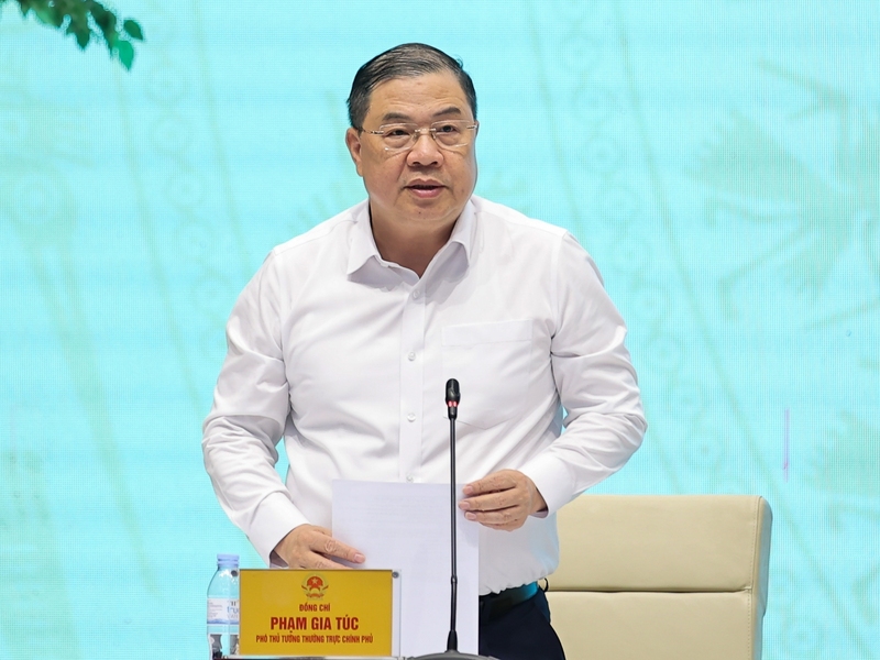 Đồng chí Phạm Gia Túc, Ủy viên Bộ Chính trị, Phó Thủ tướng Thường trực Chính phủ phát biểu - Ảnh: VGP/Nhật Bắc