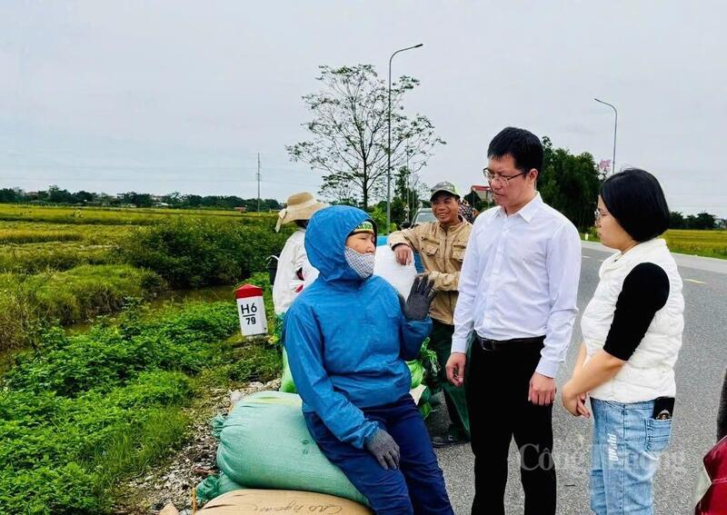 Ông Trần Huy Cương, Phó Chủ tịch phường Tam Sơn cho biết, mô hình sản xuất nếp nhung là bước chuyển trong trong tư duy sản xuất nông nghiệp của địa phương. Ảnh: Sỹ Tùng