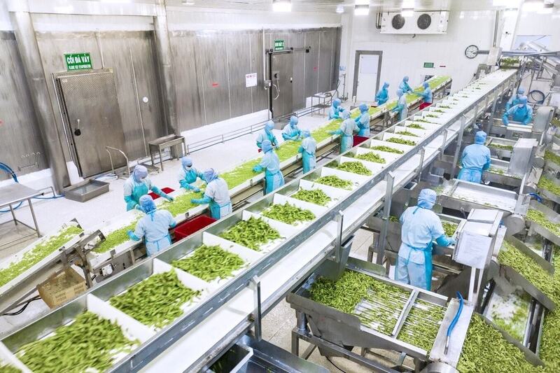 Ngành công nghiệp chế biến, đóng gói và bảo quản đang trở thành một mắt xích quan trọng trong chuỗi giá trị nông sản, thực phẩm. Ảnh minh họa