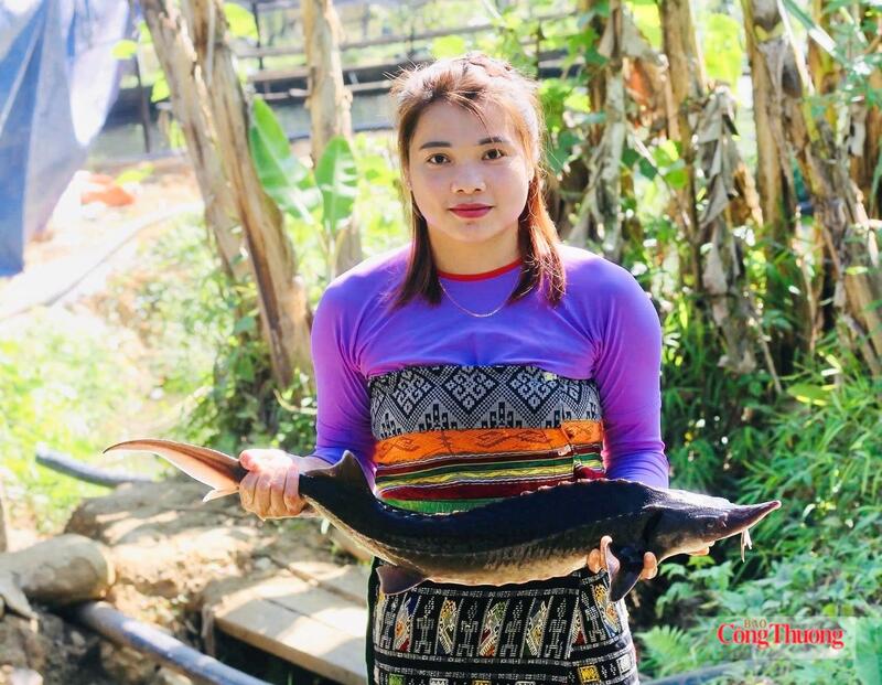 Từ những thất bại đầu đời, chị Lương Thị Lực đã nuôi thành công cá tầm đạt chuẩn OCOP 3 sao mang lại kinh tế cao. Ảnh: Quốc Anh