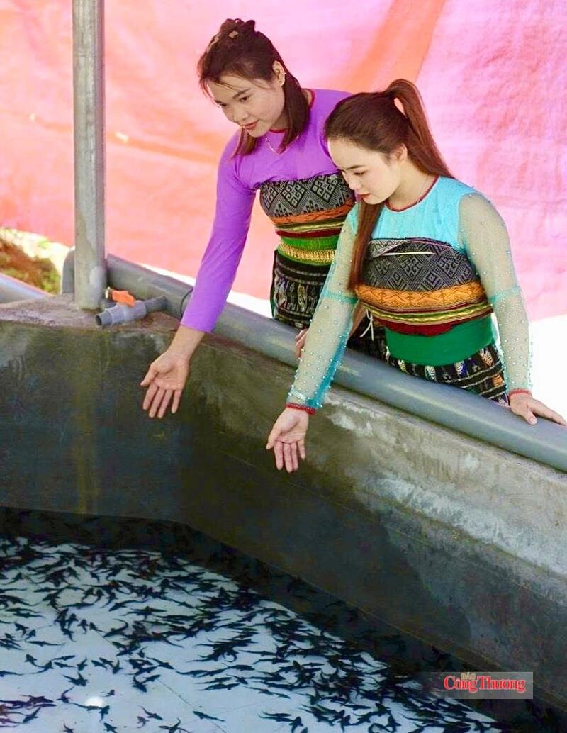 Mô hình nuôi cá tầm của chị Lương Thị Lực đã tạo việc làm thường xuyên cho 5 lao động địa phương với mức thu nhập từ 6 đến 8 triệu đồng/tháng. Ảnh: Quốc Anh