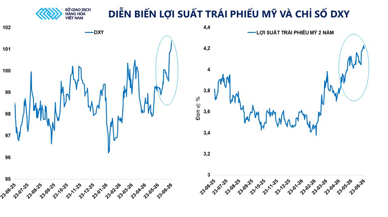 Diễn biến lợi suất trái phiếu Mỹ và chỉ số DXY. Nguồn: MXV