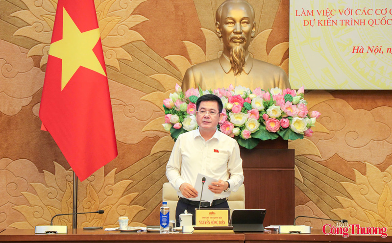 Phó Chủ tịch Quốc hội Nguyễn Hồng Diên phát biểu tại buổi làm việc.