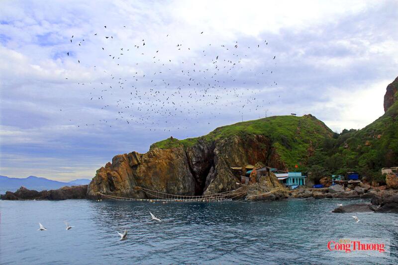 Đàn chim Yến bay quanh đảo. Ảnh: Lê Sơn