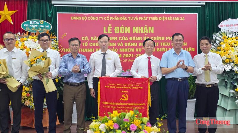Đảng bộ Điện Sê San 3A được Đảng ủy Chính phủ tặng Cờ thi đua - 1