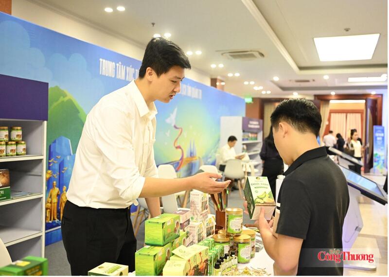 Song hành với các hoạt động văn hóa, nghệ thuật và du lịch, Lễ hội Vì Hòa bình năm nay còn là cơ hội để Quảng Trị giới thiệu tiềm năng kinh tế nông thôn thông qua chương trình OCOP. Ảnh: Nguyên Khánh