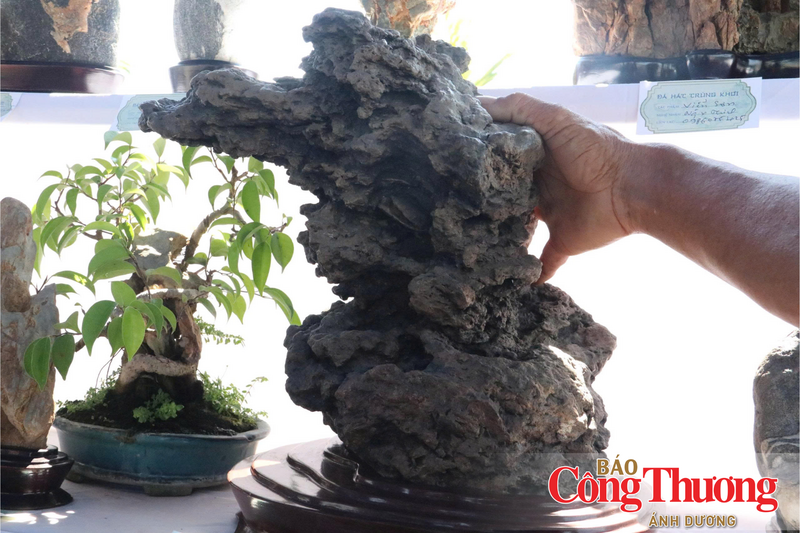 Đá kết hợp với bonsai