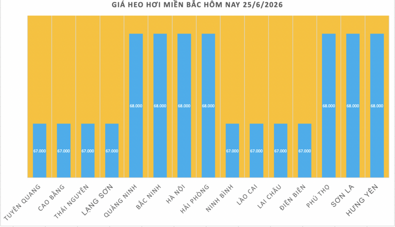 Giá heo hơi hôm nay 25/6/2026: Đi ngang, cao nhất 68.000 đồng/kg - 1