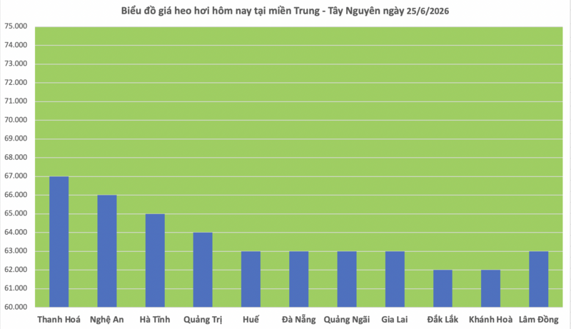 Giá heo hơi hôm nay 25/6/2026: Đi ngang, cao nhất 68.000 đồng/kg - 2