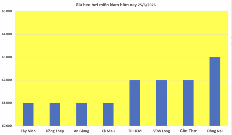 Giá heo hơi hôm nay 25/6/2026: Đi ngang, cao nhất 68.000 đồng/kg - 3