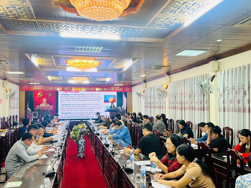 Các đại biểu tham dự Hội nghị tập huấn, bồi dưỡng kiến thức nâng cao năng lực cho cán bộ quản lý, các tổ đội dịch vụ các HTX nông nghiệp năm 2025 do Chi Cục Phát triển nông thôn tổ chức ( Ảnh: Sở NN và MT tỉnh Hưng Yên)