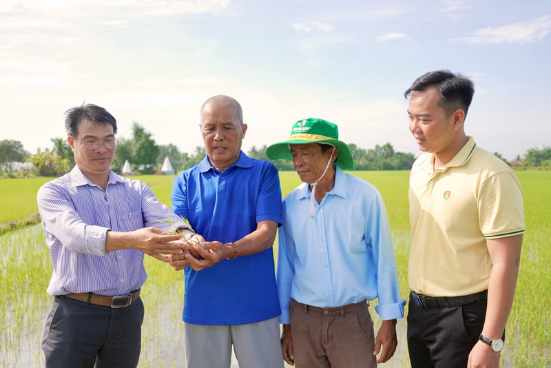 Những bí kíp vàng từ Phân bón Cà Mau giúp bà con canh tác bền vững, thịnh vượng. Ảnh: PVCFC