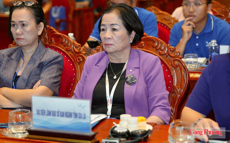 Bà Nguyễn Thị Sen, Chủ tịch Hiệp hội doanh nghiệp tỉnh Gia Lai tham dự hội thảo.