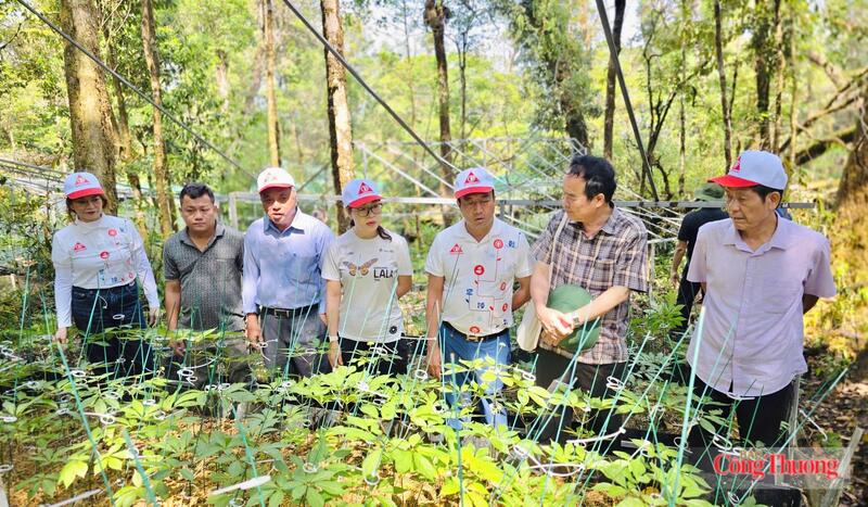 Với nhiều năm gắn bó trong lĩnh vực nông nghiệp, dược liệu và chế biến sâu, doanh nhân Phan Thanh Thiên được kỳ vọng sẽ cùng VCAC tạo thêm động lực cho cộng đồng doanh nghiệp nông nghiệp phát triển theo hướng xanh, hiện đại và bền vững. Ảnh: Hiền Mai