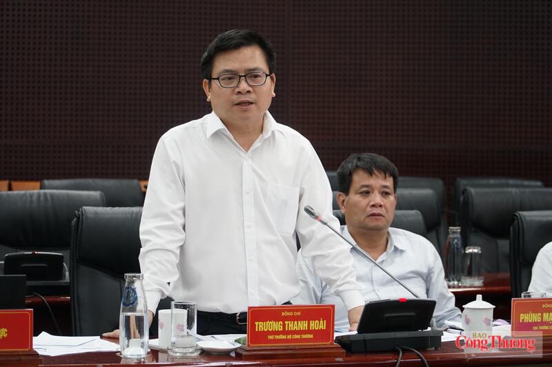 Thứ trưởng Trương Thanh Hoài phát biểu tại buổi làm việc.