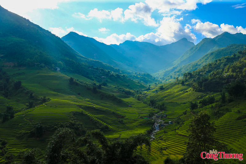 Để ngắm Sa Pa vào mùa lúa xanh, không gì tuyệt vời hơn là chọn hành trình du ngoạn băng qua những thung lũng lúa đẹp như tranh đó bằng cáp treo Fansipan. Từ trên cao, bức tranh thung lũng Mường Hoa được dệt bằng những dải lụa xanh mềm mại xen lẫn những sắc màu bình an của bản làng Tây Bắc, đẹp như một bài thơ. Một ngôi nhà nhỏ được bao quanh bởi những thửa ruộng bậc thang trải dài tít tắp đến tận sườn đồi.