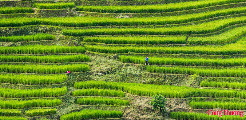 Những góc nhìn đắt giá ấy không chỉ giúp du khách có trải nghiệm trọn vẹn mà còn góp phần quảng bá và gìn giữ nét đẹp văn hóa vùng cao theo cách tự nhiên và bền vững.