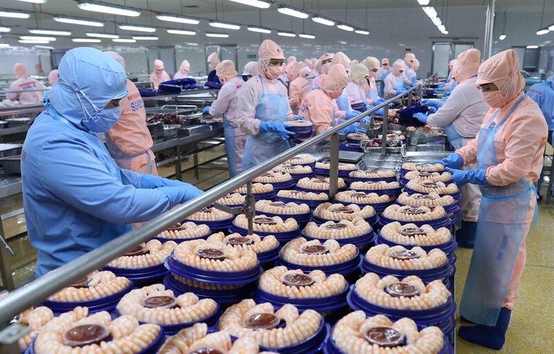 Xuất khẩu thủy sản đối diện nhiều khó khăn dù duy trì đà tăng trưởng. Ảnh: TTXVN