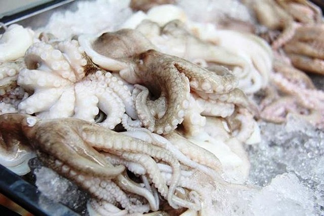 Hàn Quốc là một trong những thị trường xuất khẩu mực, bạch tuộc lớn nhất của Việt Nam. Ảnh minh họa