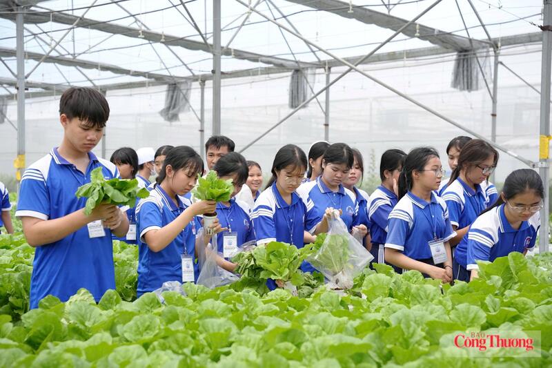 Các em học sinh trải nghiệm trồng rau công nghệ cao.