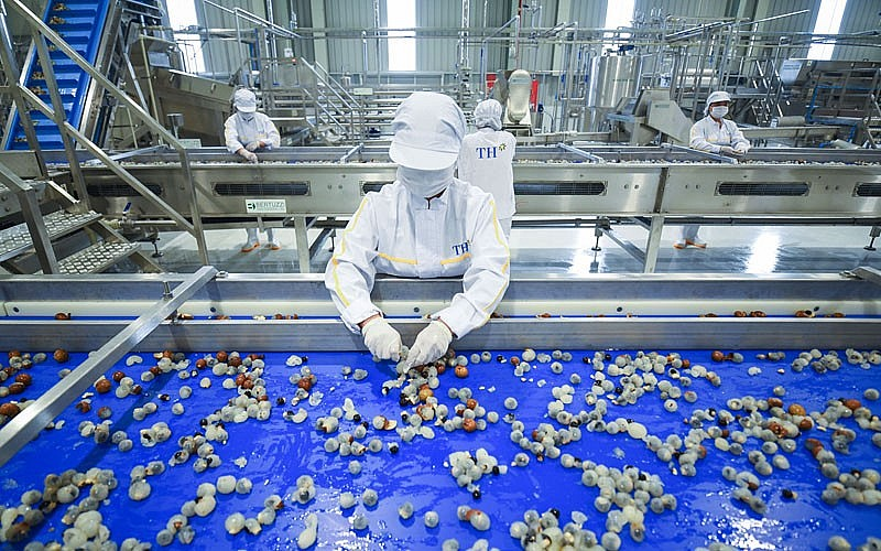 Nhà máy chế biến thực phẩm sạch Vân Hồ (Sơn La)