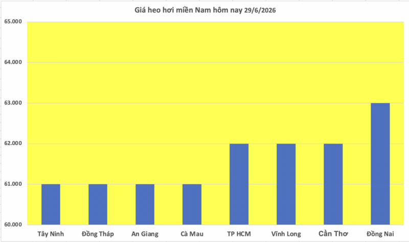 Giá heo hơi hôm nay 29/6/2026: Giảm đồng loạt tại miền Bắc  - 3