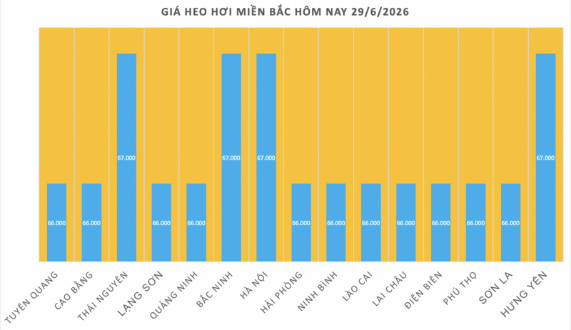 Giá heo hơi hôm nay 29/6/2026: Giảm đồng loạt tại miền Bắc  - 1