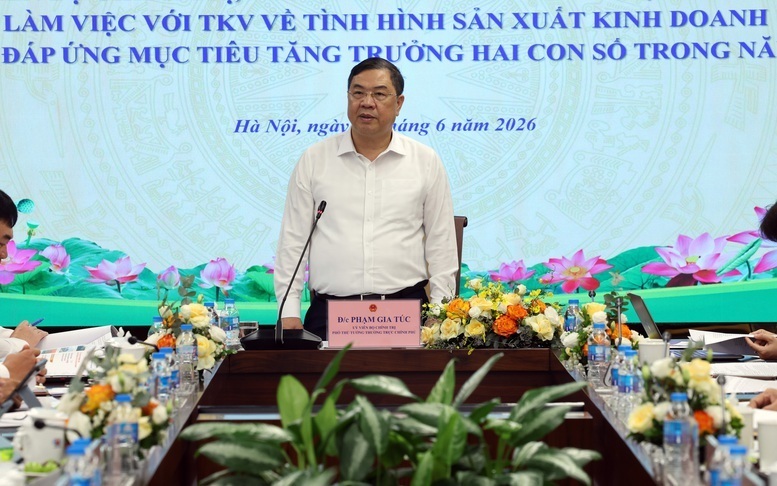 Phó Thủ tướng Thường trực Phạm Gia Túc làm việc với Tập đoàn Công nghiệp Than - Khoáng sản Việt Nam (TKV) - Ảnh: VGP/Phương Nguyên