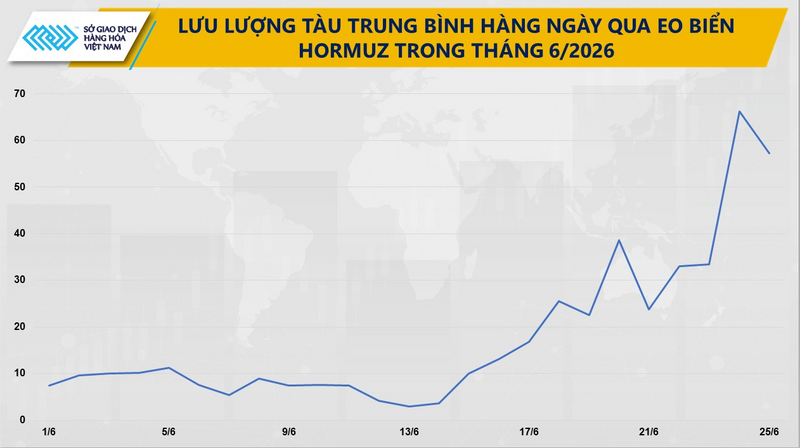 Lưu lượng tàu trung bình hàng ngày đi qua eo biển Hormuz trong tháng 6/2026. Nguồn: MXV