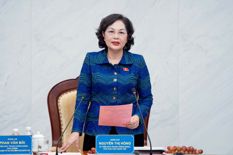 Phó Chủ tịch Quốc hội Nguyễn Thị Hồng phát biểu chỉ đạo tại buổi làm việc. Ảnh: Quochoi.vn