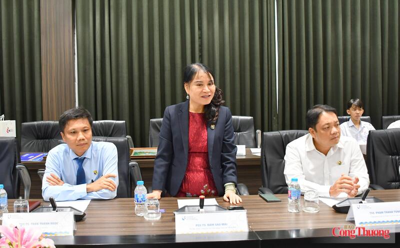 PGS.TS Đàm Sao Mai, Phó Hiệu trưởng Trường Đại học Công nghiệp TP. Hồ Chí Minh. Ảnh: Thanh Minh.