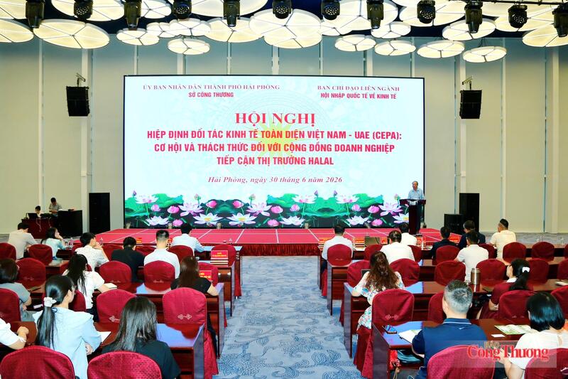 Các đại biểu tham dự hội nghị.